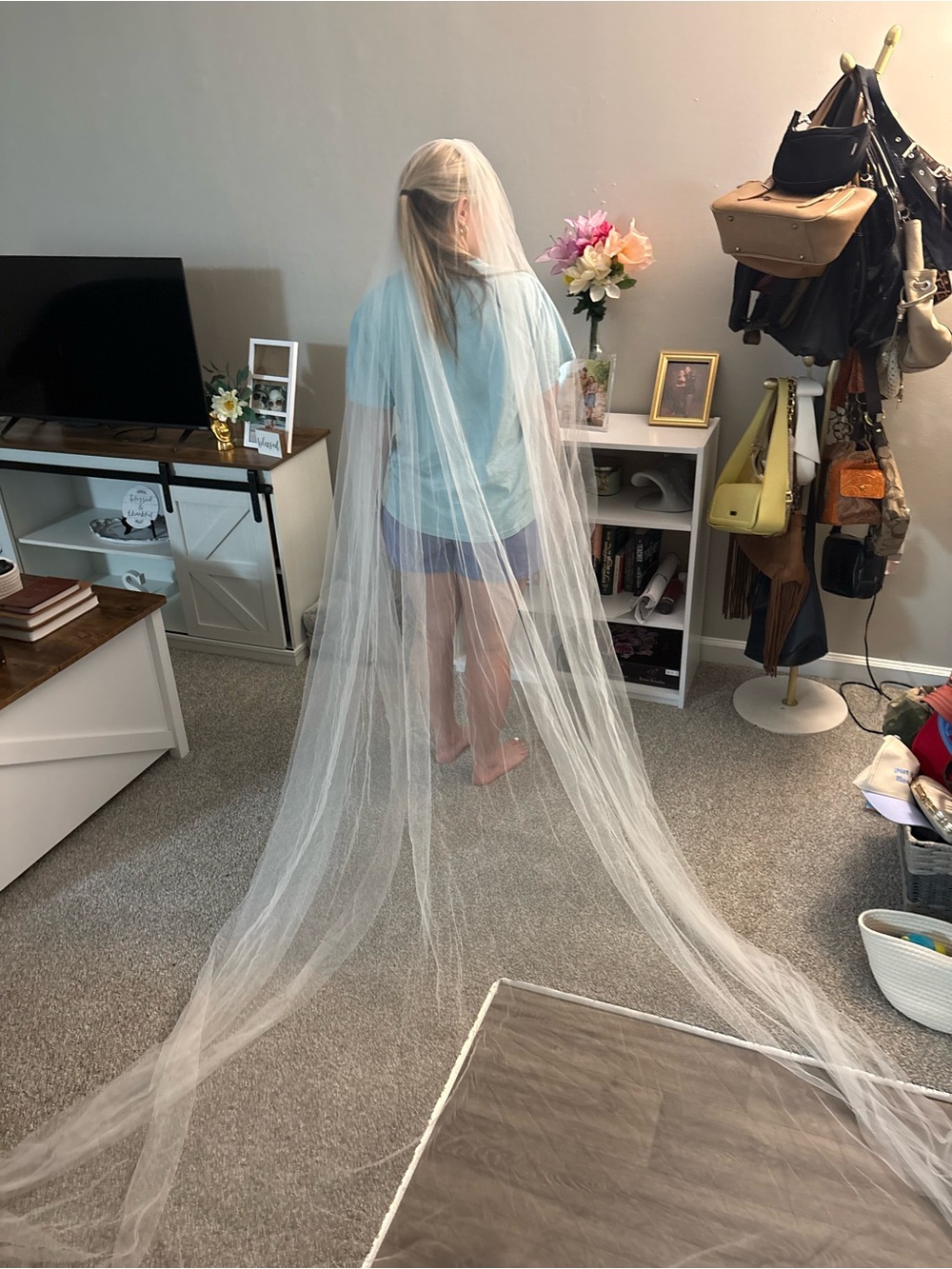 Bridal Veil Long Cathedral Tulle Veil - White